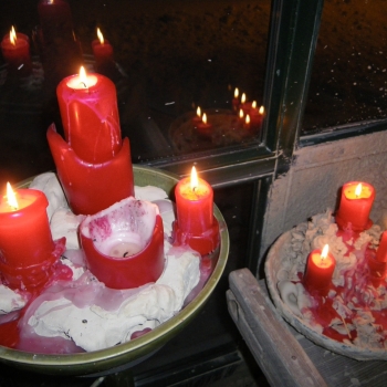 IMGP06441