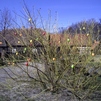 PICT0262