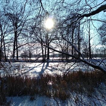 erlichthof-winter-1