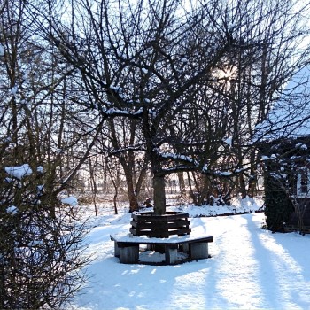 erlichthof-winter-3